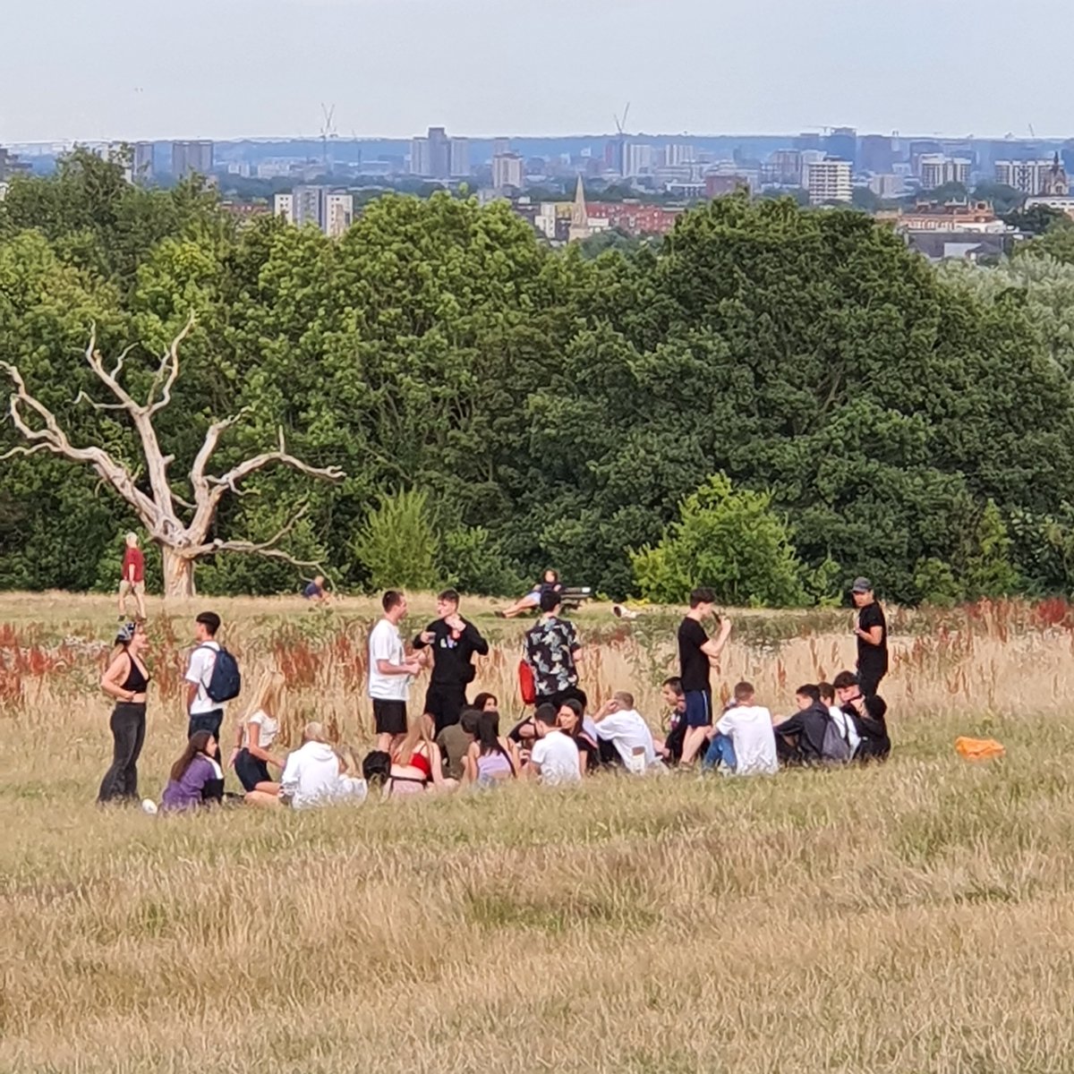 Social 'distancing' on #hampsteadheath. Kissing, hugging long missed friends, play fighting, running around. I am usually a live and let live kind of person, but this is going to prolong the agony of dealing with COVID - affecting all our lives, businesses, travel and health.