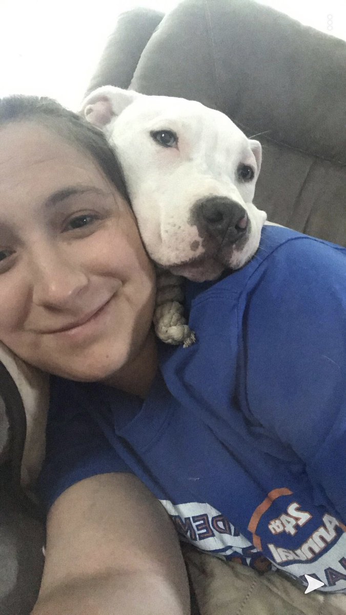 brittanydorch's tweet photo. @Reina_Jrose @doieflwer @septic__tea @shadycatts @bjbjonez Since we’re sharing our vicious attack dogs 🤷🏻‍♀️ https://t.co/rsg7iZdkFN