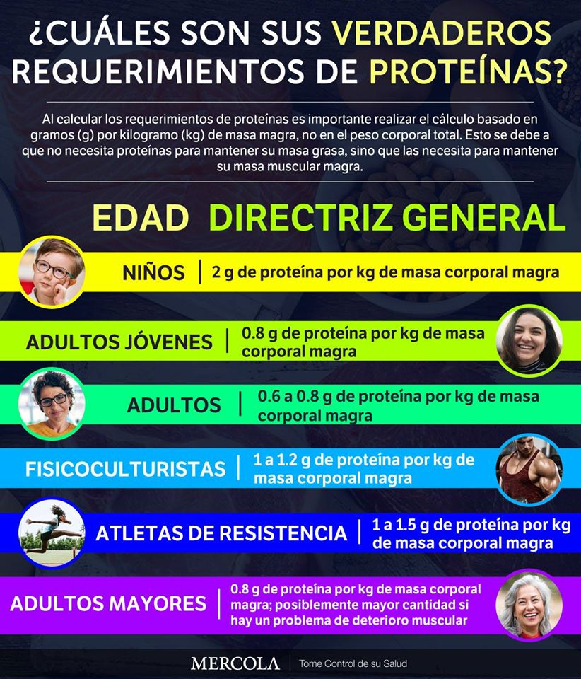 ¿Conoce sus requerimientos de proteína?