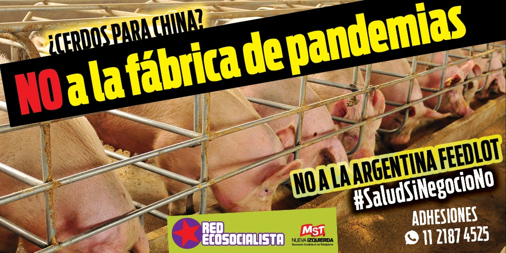 NadiaGBurgos's tweet photo. Nos organizamos y luchamos!
#BastaDeSolucionesFalsas No a la Argentina Feedlot! #SaludSiNegocioNO https://t.co/pn1aPq2MIv