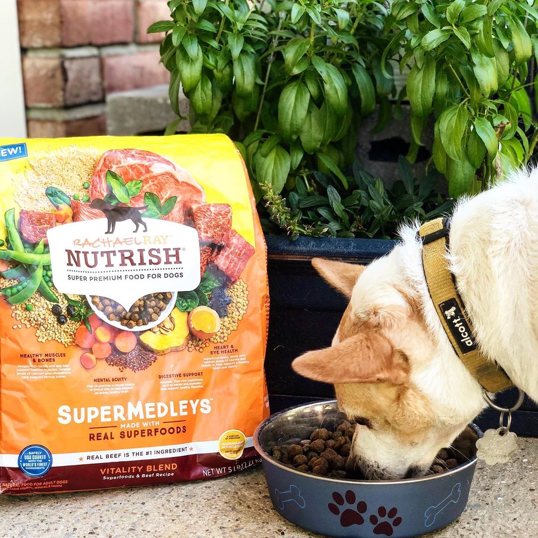 Influenster's tweet image. Turn into a puparazzi 🐶 and share your best pics of your dog with their @nutrish treats! Mayra&apos;s furry friend loves the beef blend, is your pup more of a 🐔 or 🍖 fan? Check out the reviews on #NutrishPets below! 👇 
bit.ly/30zekoA