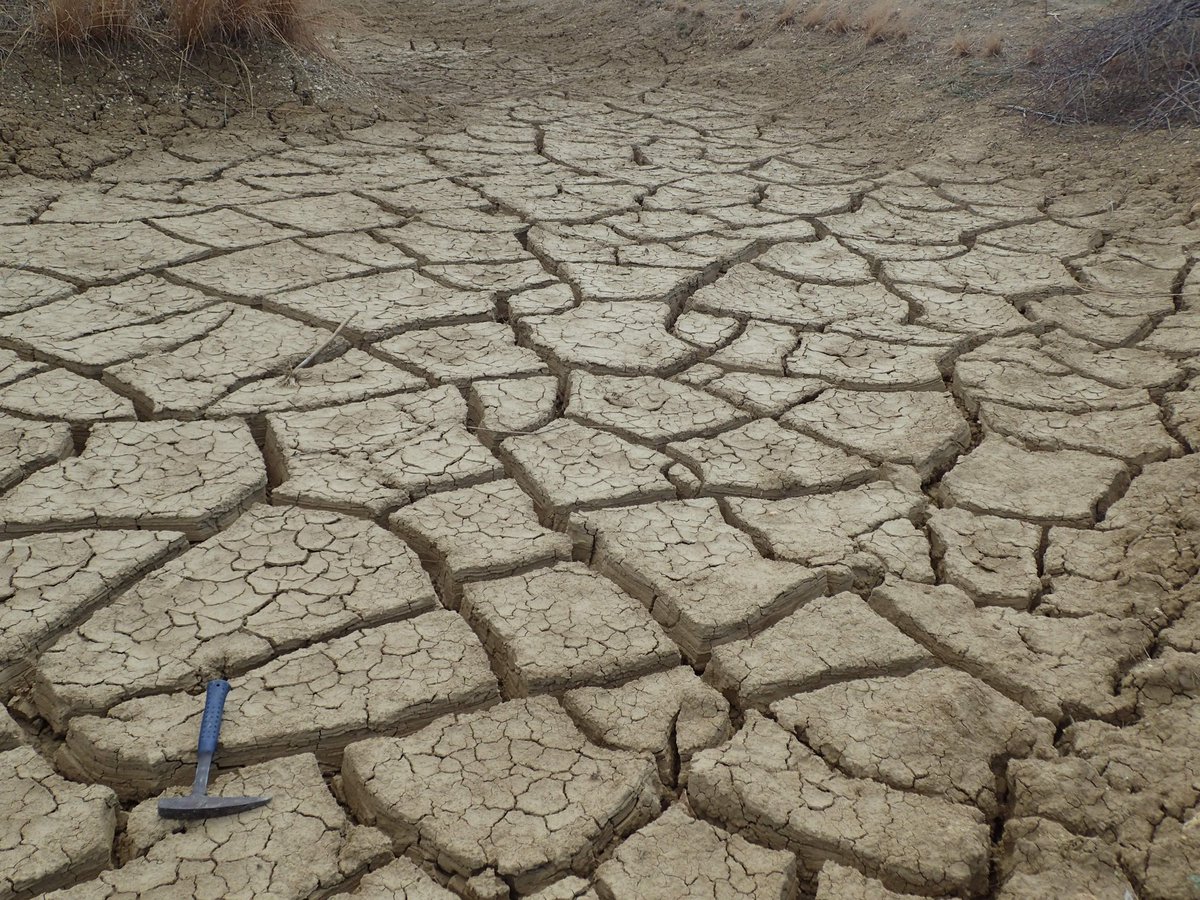KusuhashiLab's tweet photo. 忘れてた写真シリーズ。去年の6月のミャンマー調査より、乾裂。#mudcracks https://t.co/38FQ5LHNxK