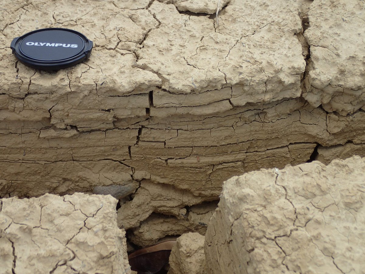 KusuhashiLab's tweet photo. 忘れてた写真シリーズ。去年の6月のミャンマー調査より、乾裂。#mudcracks https://t.co/38FQ5LHNxK