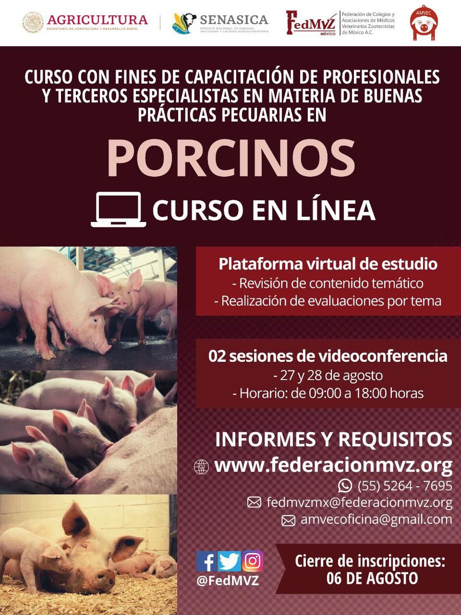 VisionPorcina's tweet image. Curso en Línea de capacitación a Profesionales y Terceros Especialistas en Buenas Prácticas Pecuarias en el área de Porcinos.
Curso reconocido por Senasica y válido para el trámite de autorización como Profesional o TEA en #BPP
Convocatoria y requisitos: buff.ly/3eUkJ2E