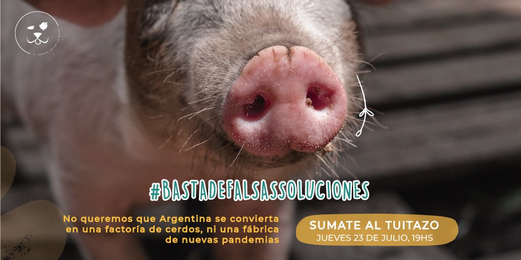 yamilab83's tweet photo. No queremos que Argentina de convierta en una factoría de #cerdos, ni en una fábrica de nuevas #pandemias.
¡Por un nuevo modelo sano, agroecológico, solidario y soberano!
Firmá la petición: https://t.co/IVTDWOCjNc

#bastadefalsassoluciones https://t.co/c1H66W1AmM