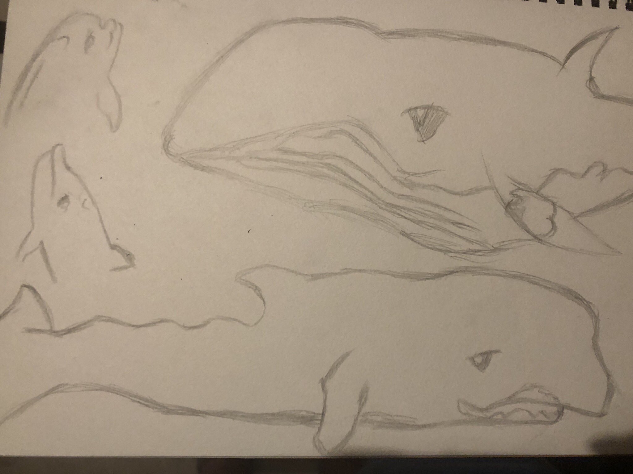 クジラの絵 Twitter Search Twitter