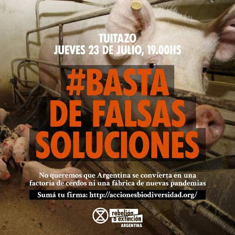XrArgentina's tweet photo. #BASTADEFALSASSOLUCIONES

No queremos ser la chancheria de China.

sumate a la petición en https://t.co/oyZqvYBji3 https://t.co/K3soblqgk7