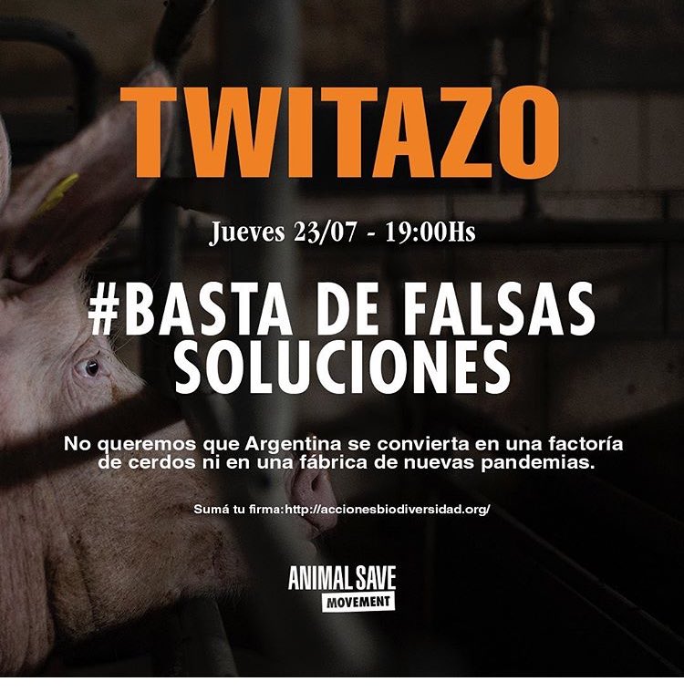 valdez_barby's tweet photo. #BastaDeFalsasSoluciones más tortura de animales. Más deforestación. Más problemas climáticos. El dinero se va, los recursos tmb y nos quedan dolor u problemas ambientales. https://t.co/PuPmupImX8