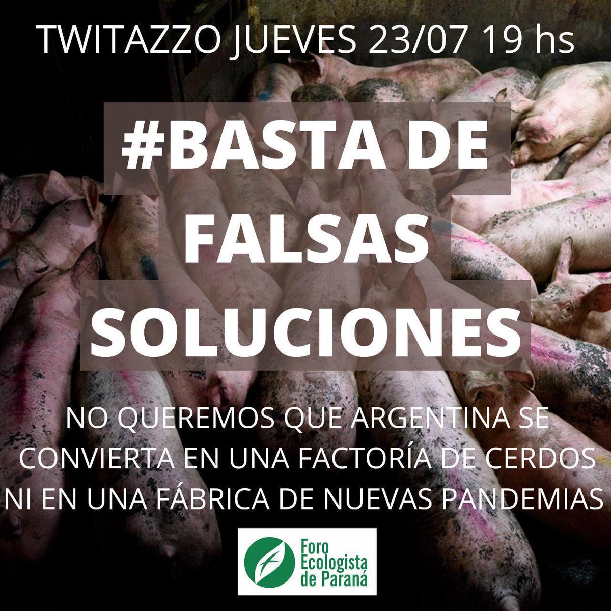 DVerzenassi's tweet photo. Foto de Danie #BastaDeFalsasSoluciones https://t.co/hNVQOCOEQl