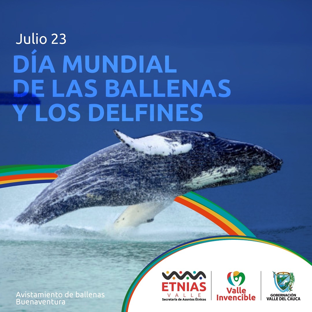 Asuntos Étnicos on Twitter: "23 de julio | Día Mundial de las Ballenas y  los Delfines 🐳🐬 El 23 de julio de 1986 la Comisión Ballenera  Internacional (CBI) decidió proclamar ese día