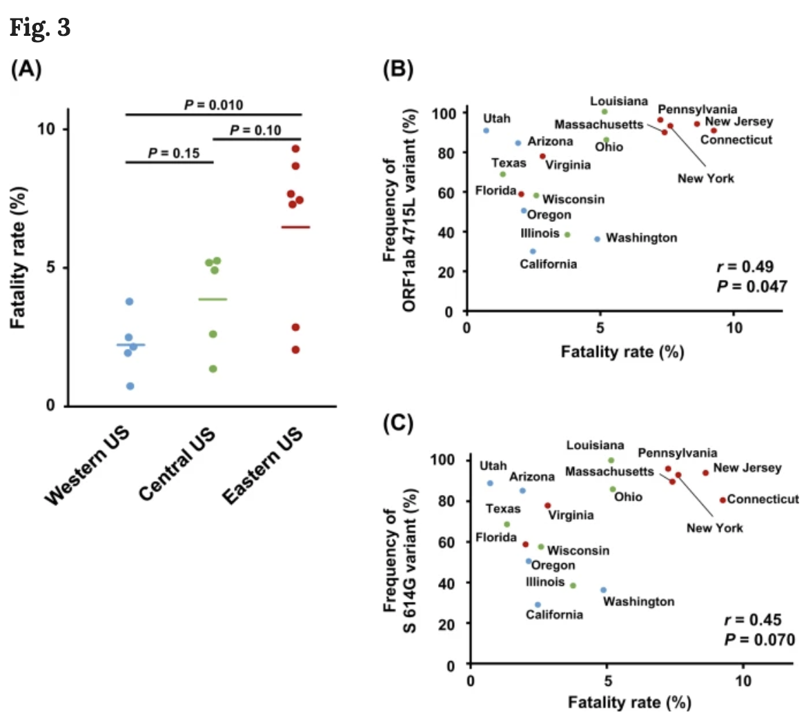 2) S protein mutation is the famous D614G variant that appeared in Europe and took over and previously thought to increase infectivity ( https://bit.ly/3fUTHcJ ) The new study found that the correlation between mutations and fatality holds even in sub-regions of the US...