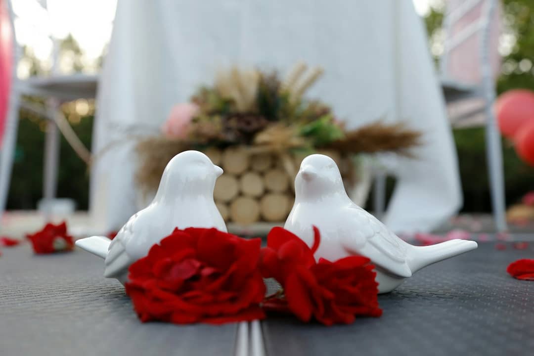Aydoraorgnzsyn's tweet photo. Aşkını Aydora'da kişiye özel evlilik teklifi tasarımları ile anlat. #love #evlilikteklifi #evet #aşkla #aydoragarden #ankara https://t.co/B7SsfIwVBO