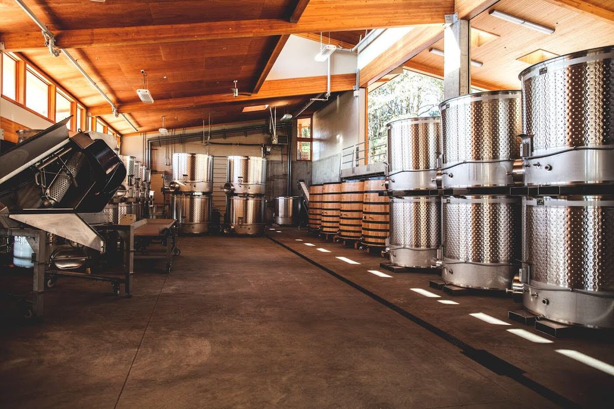 We're all missing certain things these days. The <a href="/AlexanaWinery/">Alexana Winery</a> lot, called Fear of Missing Out, reflects 11 different blocks from their estate vineyard. Save yourself from Auction FOMO and learn more: willamettewines.auction/instapinot #wvauction 📷 Caylee Betts