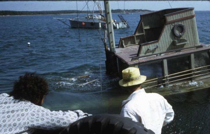 returnoftheorca's tweet photo. “Once, the Orca took on water and partially sank. It had to be pulled out, dried out, and have wood replaced, all in time to be ready for shooting the following day.” - Joe Alves, Production Designer on Jaws
Support our Orca rebuild at the link in our bio 👆🏽#OrcaReturns #Jaws https://t.co/QENJ8YCKRV