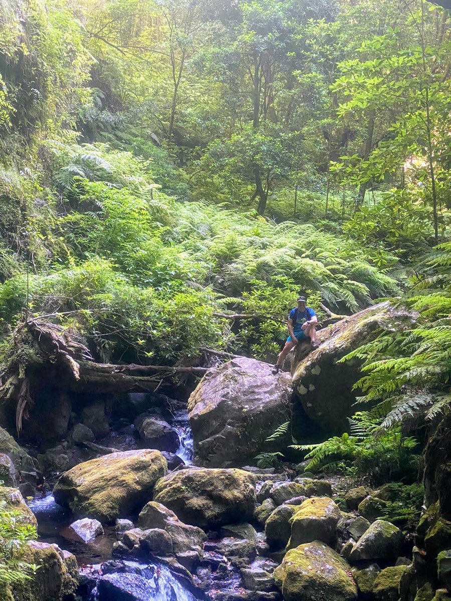 missermith's tweet photo. #Paradise #TrailRunning #NaturePhotography #RunningTOOgether #BestWithYou https://t.co/Fv3Dvp1HVC