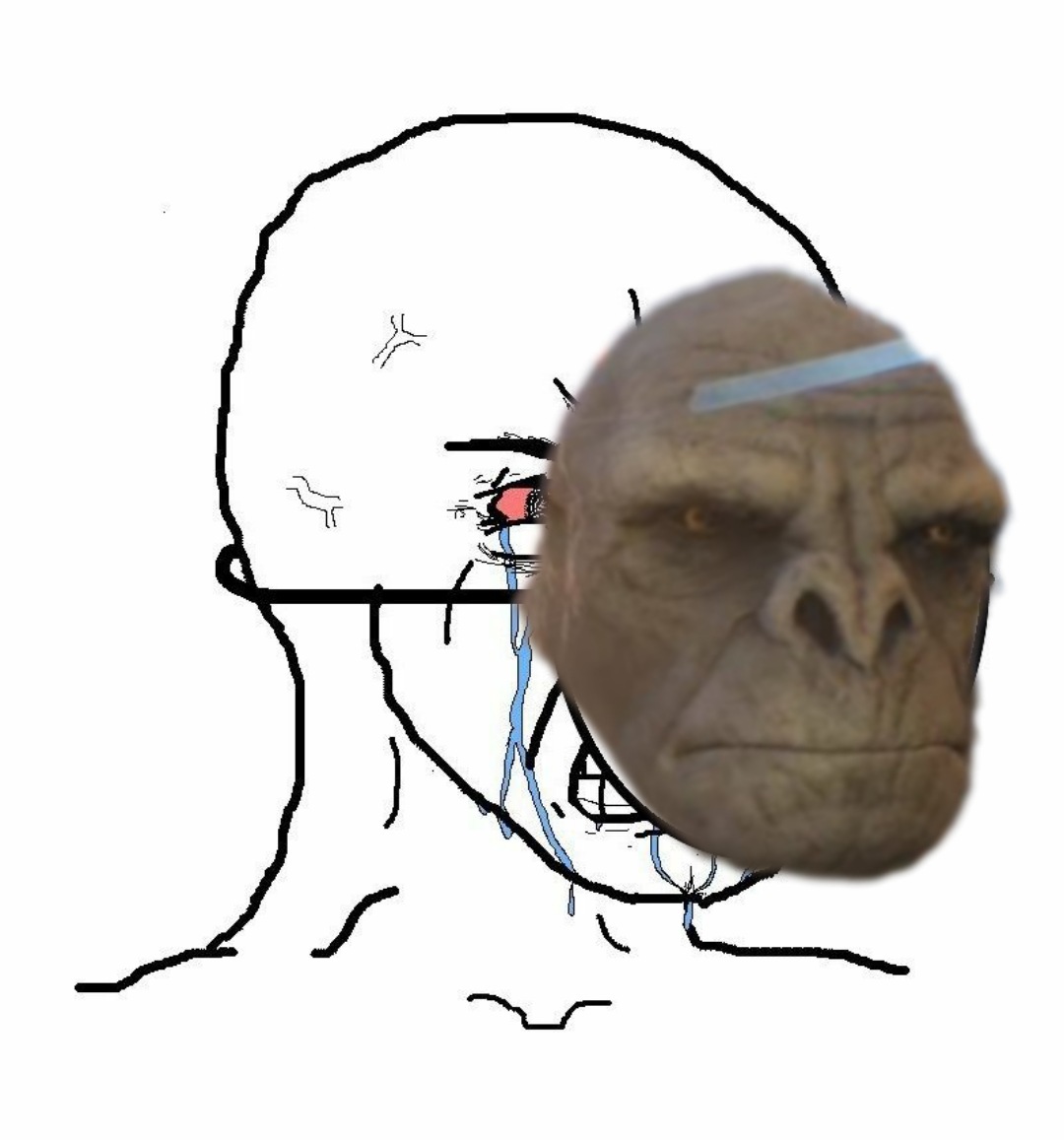 EdpOmyHXkAkJqjd