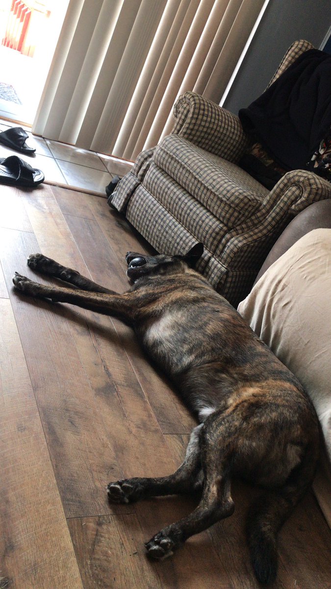 ProUncovered's tweet photo. Someone has had a tiring birthday https://t.co/WTsvFaJgJJ