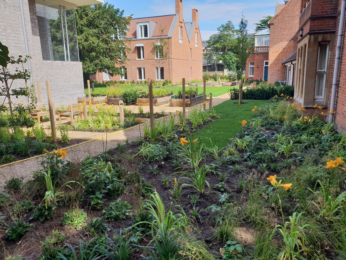 Olphin1's tweet photo. @GroundControlGC All finished at Kings College site this week. Site looks great and ready for our GM team to loom after now. https://t.co/HWfq86YfzG