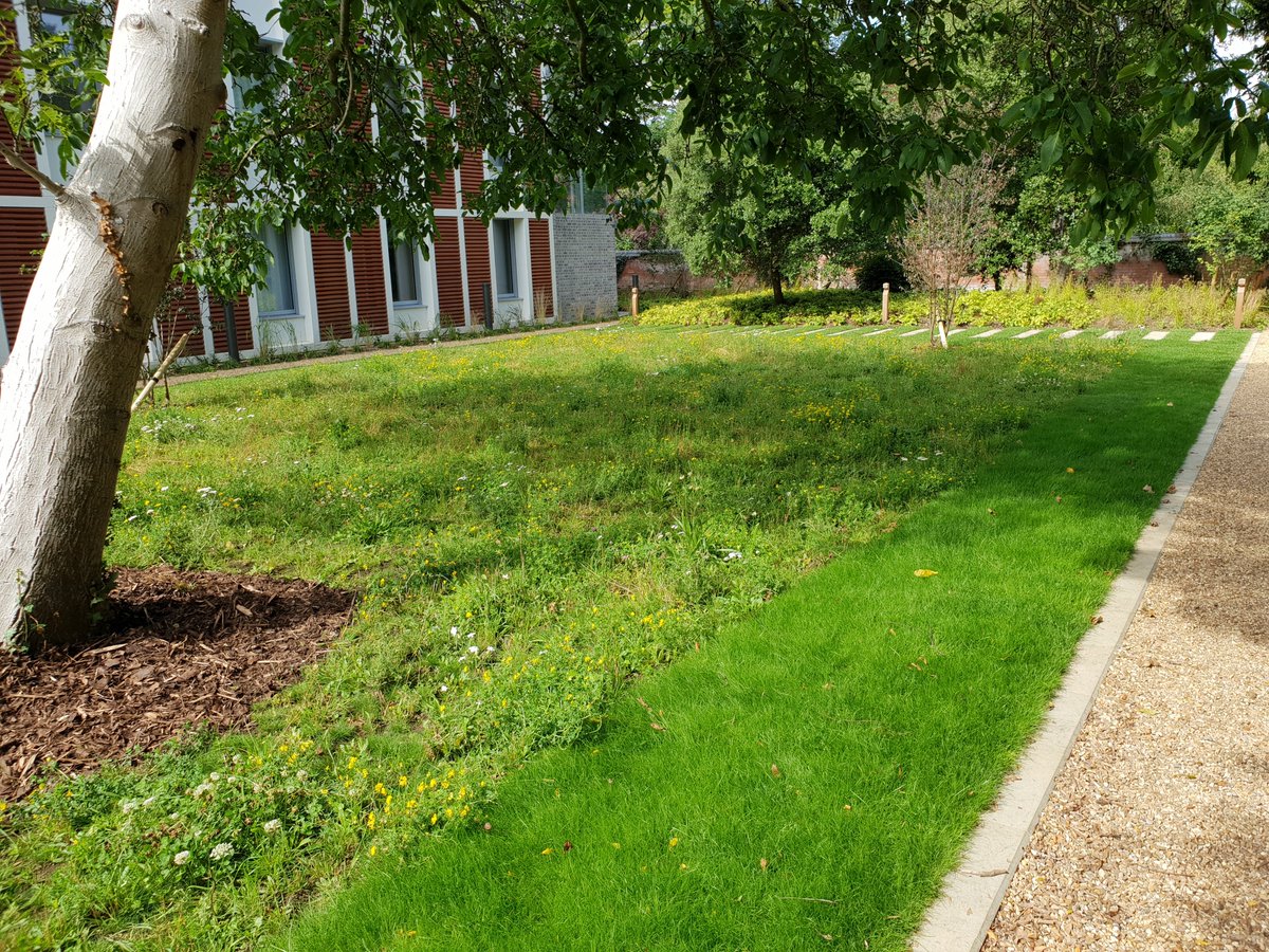 Olphin1's tweet photo. @GroundControlGC All finished at Kings College site this week. Site looks great and ready for our GM team to loom after now. https://t.co/HWfq86YfzG
