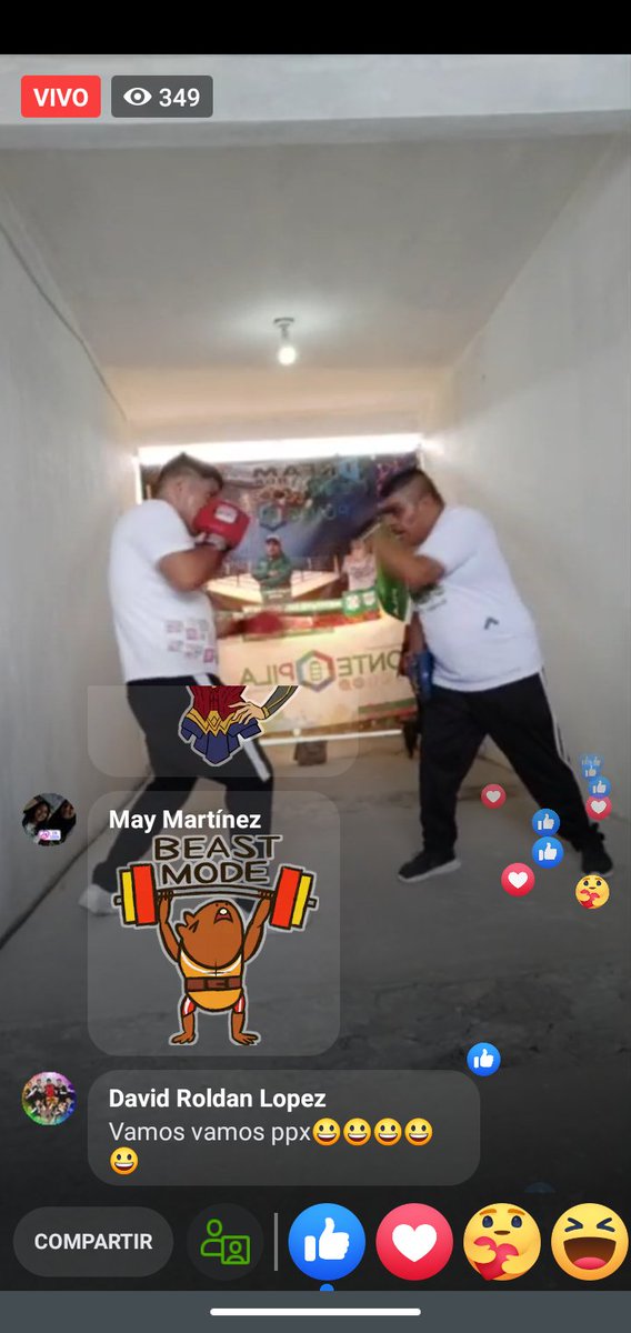 MaraVetrano1's tweet photo. Clase de box xochimilco!!! https://t.co/gfmsXqtwpT