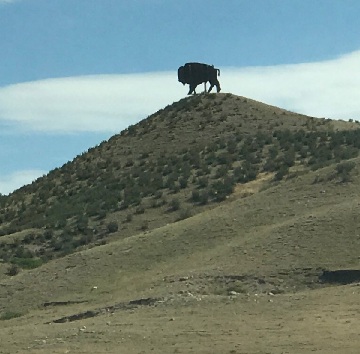 rich_runs's tweet photo. It’s been 134 days since I last taught a real live face to face class. Tomorrow in Cody WY I will do that. After a 7 1/2 hour drive I’m pretty ready for anything.
#dowhatyoulove #speakerlife #creatinglistingabundance #richsandsseminars #codywyoming https://t.co/3cNNb8DfTM