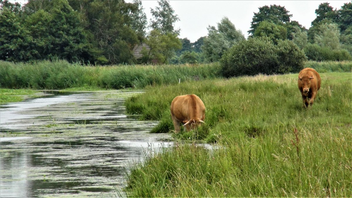 Toine128's tweet photo. Met de fiets wandelroutes in kaart brengen. https://t.co/M8TeKRAhTG