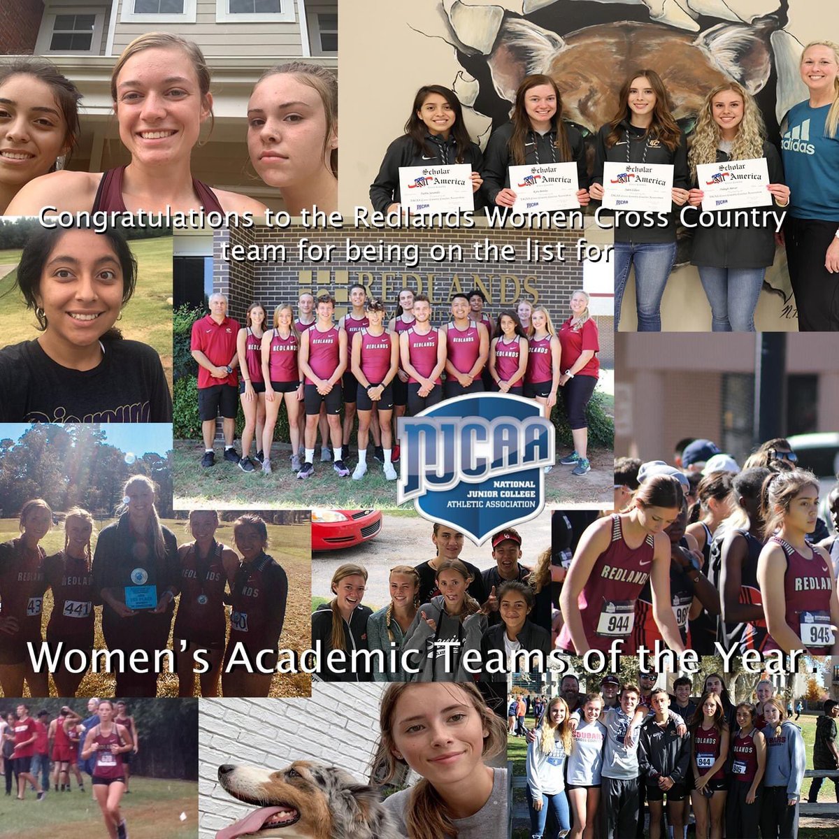 XCcoachCox's tweet photo. Made the NJCAA Academic Team of the Year List! Way to go ladies!! ⭐️ https://t.co/flZxwTQCCF
