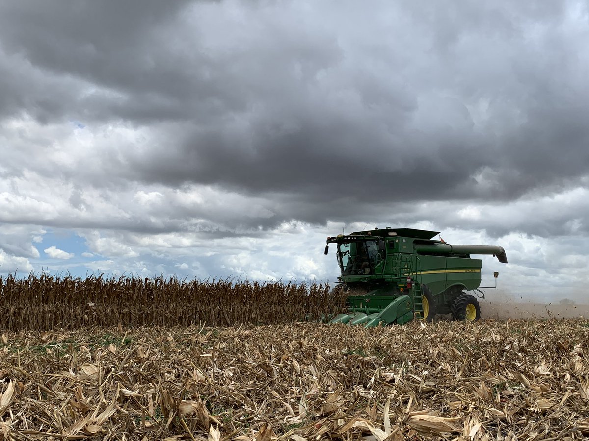 Y’all have never seen a hustle like farmer hustle when there’s a looming tropical storm! There will be many that pull an all nighter tonight with the hopes of getting out as many acres as possible. I’m sure they all would appreciate a few extra prayers!