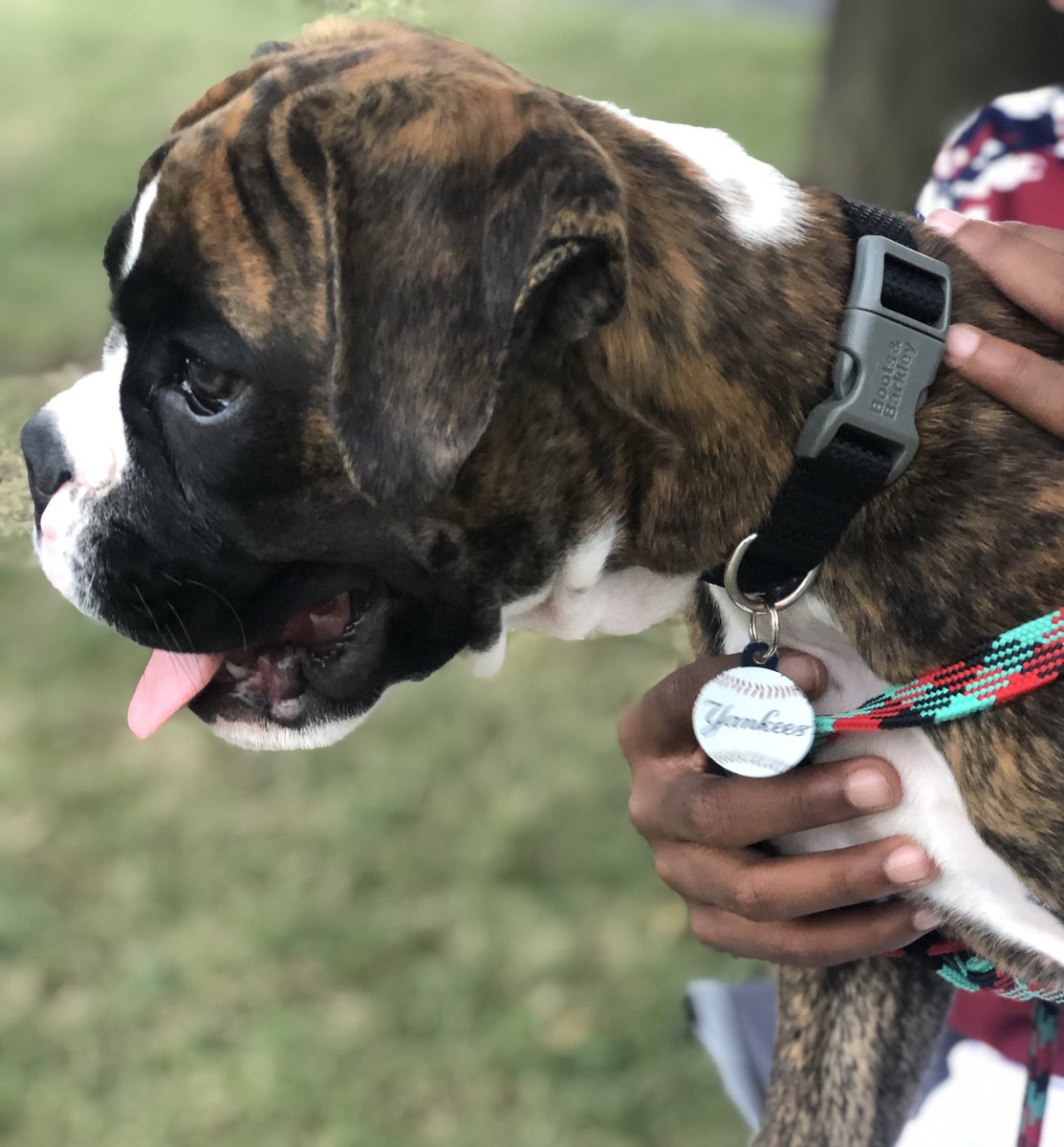 Jason-Lamont Jackson Sr. MA. tweet media