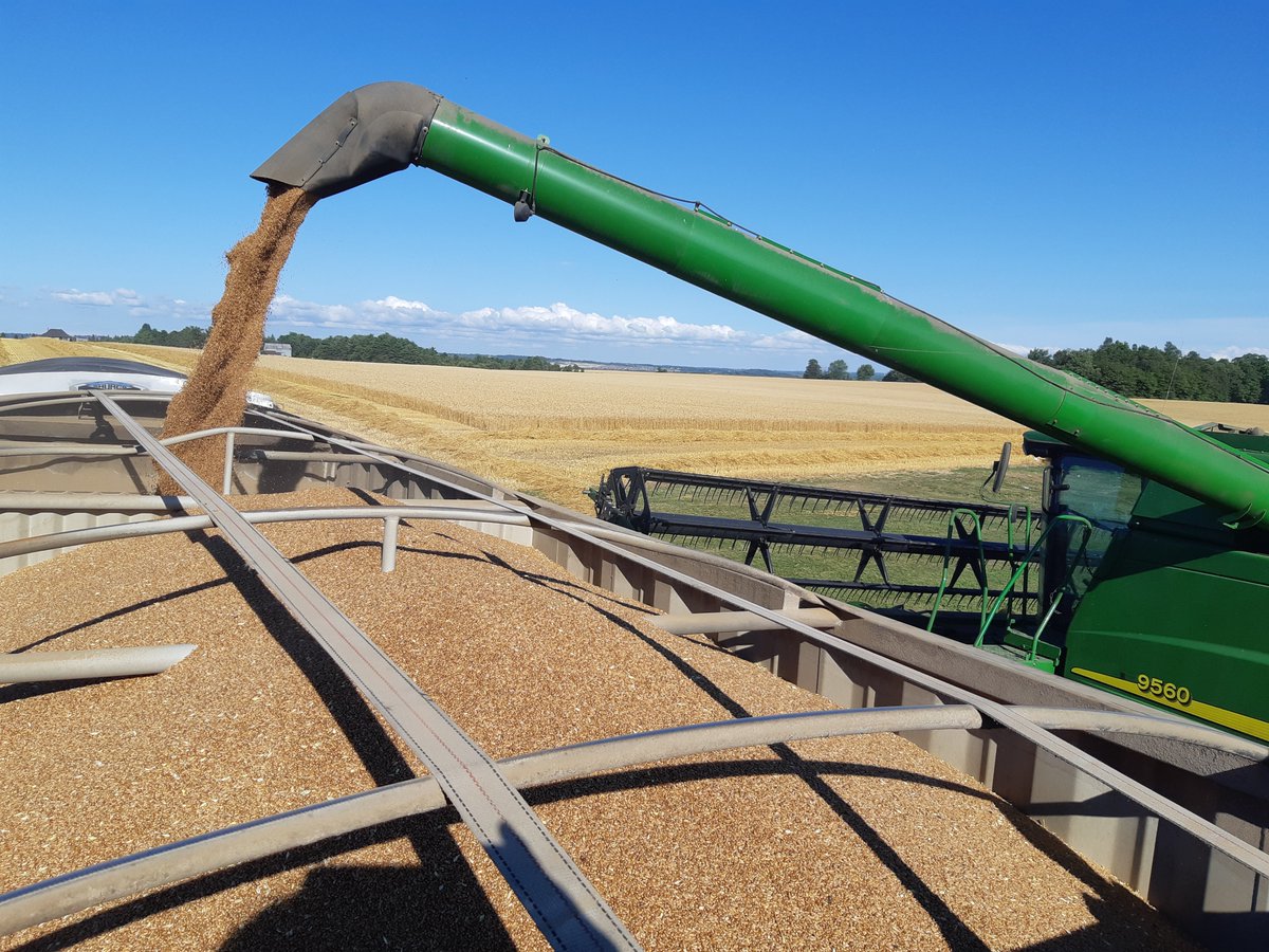 And here we go!  Beautiful day to start #harvest2020                  

#grainelevator #simcoecounty <a href="/LACommodities/">LAC</a>