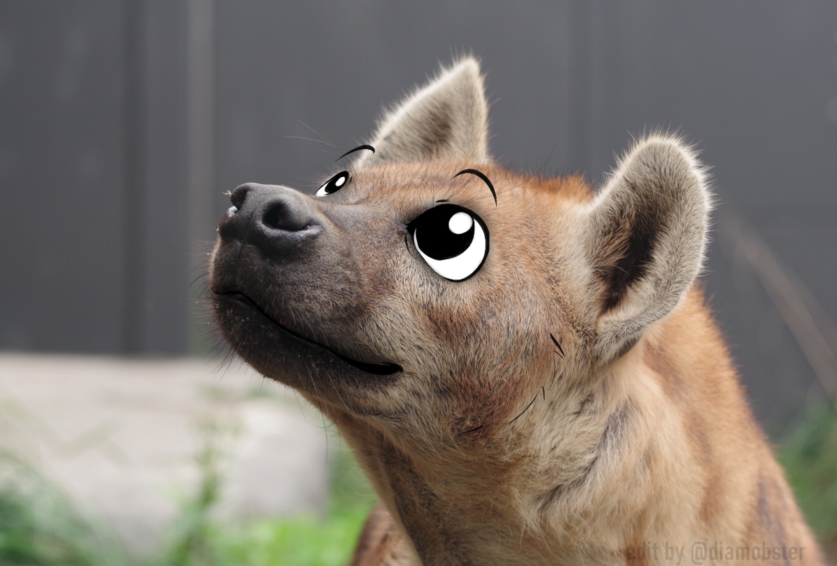 diamobster 🔞 tweet media