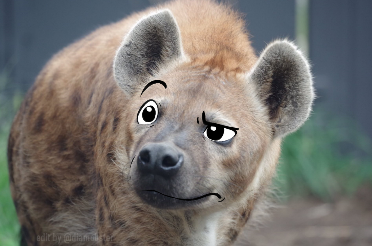 diamobster 🔞 tweet media