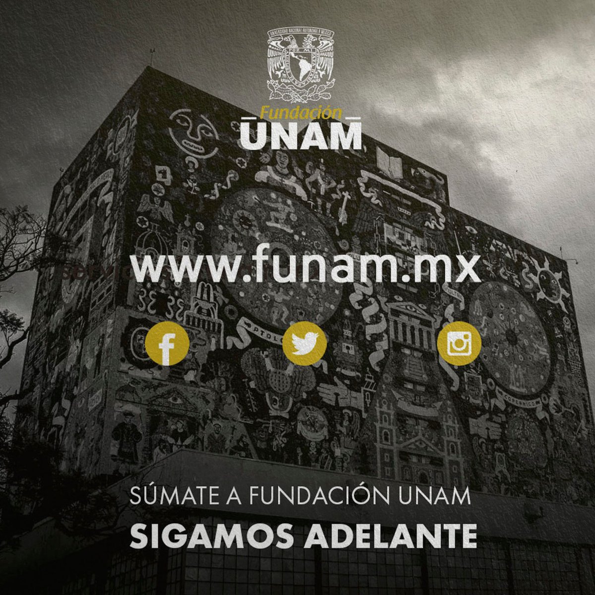 Fundacion_UNAM's tweet photo. #AmigosFUNAM ¿ya conocen todas nuestras Redes Sociales? ¡No dejen de seguirlas y ser parte de esta gran comunidad! https://t.co/zDaIXRNRLC