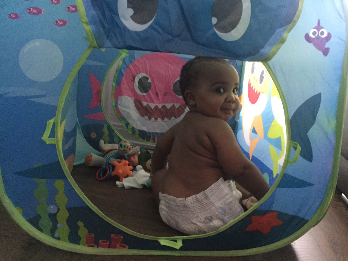 CJzWord's tweet photo. Hi Twitterverse!! 🐯This is a pic of me in my peek-a-boo shark 🦈 tent! Now I’m free to be a “naughty bunny🐰” inside and no one will ever know...🤪 #CJzWord https://t.co/fH6VUI72Yg