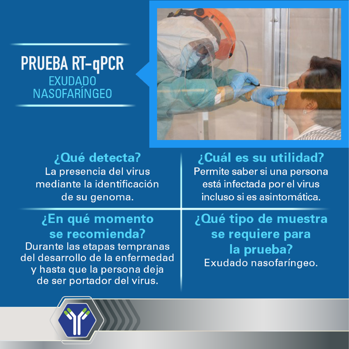 UDIBI_IPN's tweet photo. ¿Sabías que la prueba de diagnóstico molecular sirve para detectar de manera directa la presencia del virus? Si deseas realizar una prueba reserva una cita en el siguiente enlace: https://t.co/6R2OA0aRVa https://t.co/U3lVJh2TDe