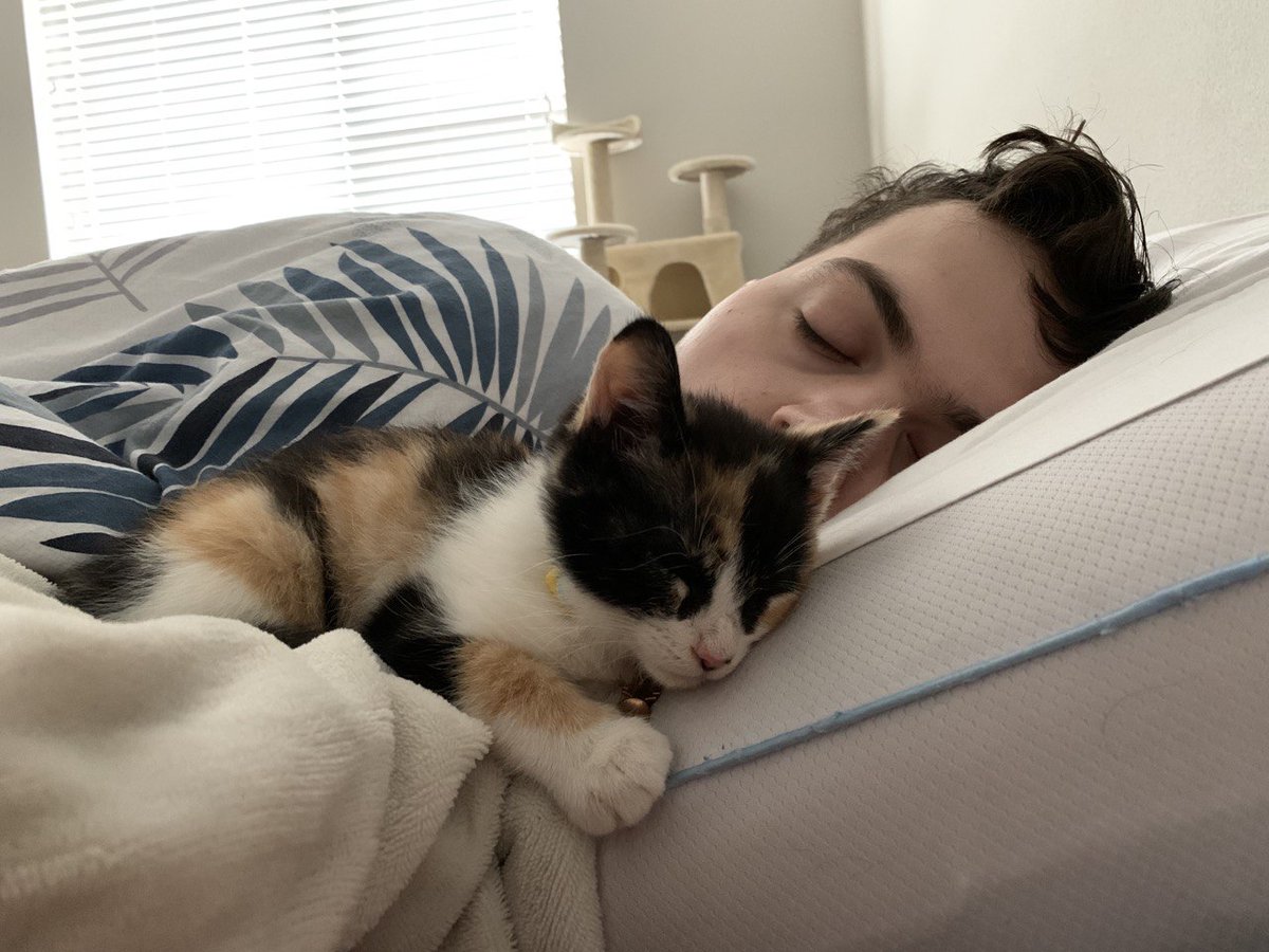 Sorry for the lack of Macchiato posts lately. Been a busy week.Anyway, as you can see, she has become a big time cuddler. This morning she woke me up three times between 4 a.m. and 8 a.m. by tapping my head and chewing my hair. Then she fell asleep like this with me.