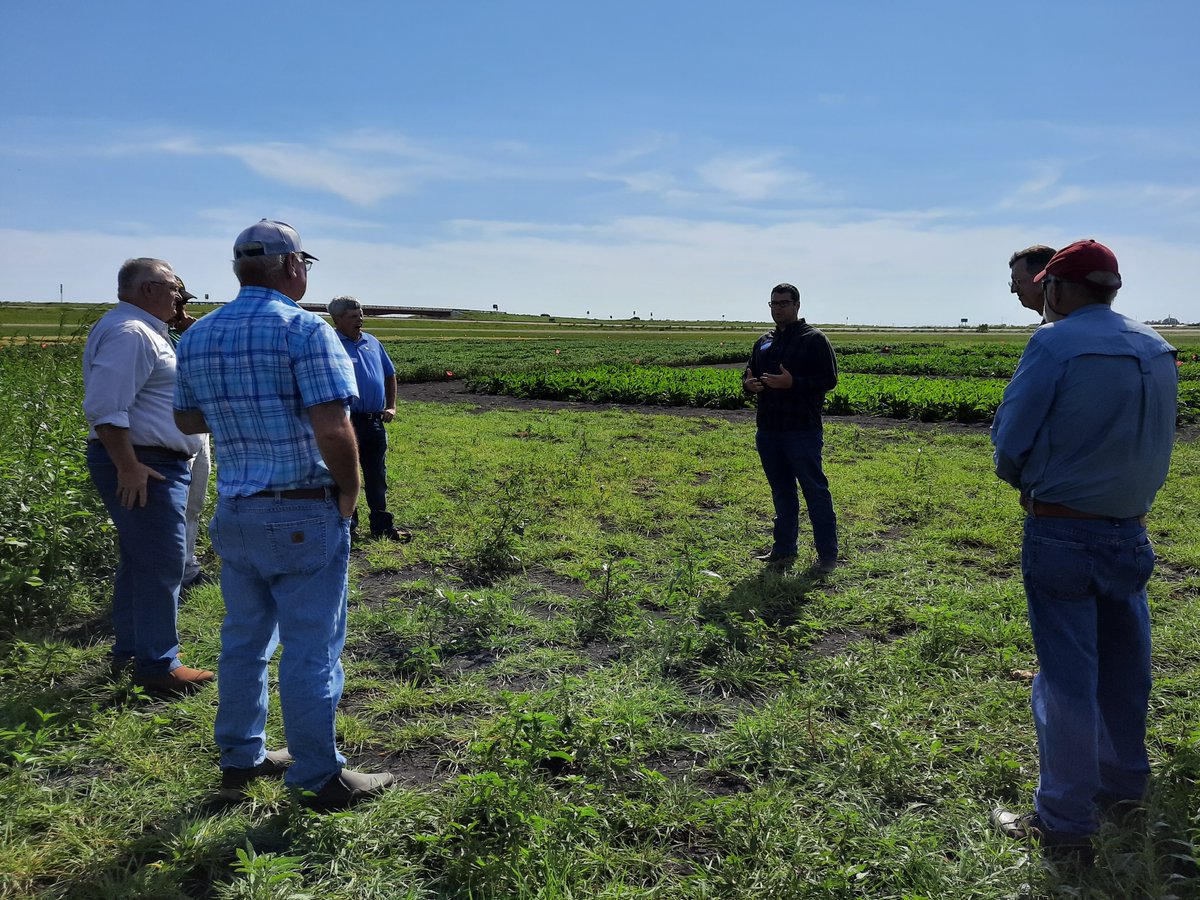 North Dakota Corn Growers Association tweet media