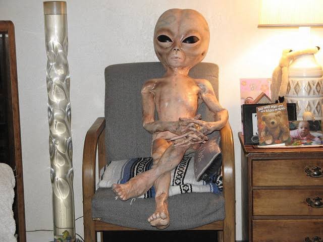 ChapsOficial's tweet photo. Esperando sentado o sábado que não chega logo com essa live 4D!
#chapeleiro #live #live4d #alien #alienigena #brutalbass #vjvacao https://t.co/10SLqv8YMM