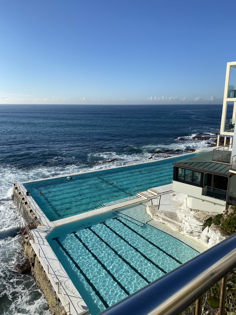 Early swimmers get a great morning swim