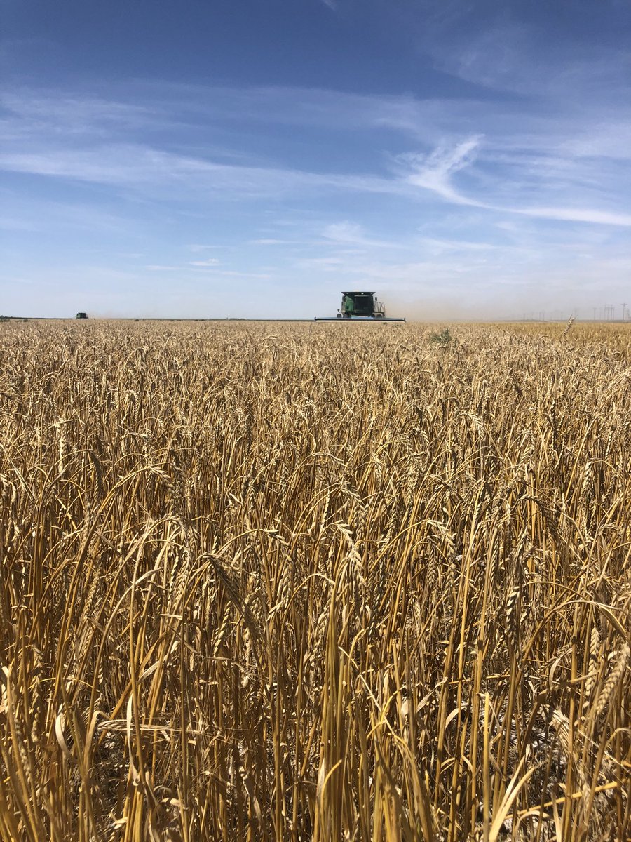 Clay Smith tweet media