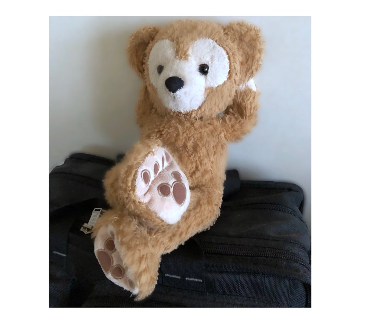 cdt06970's tweet photo. ダッフィー自宅待機　#Duffy #duffy #ダッフィー　#自宅待機 https://t.co/EUfl5amdEH