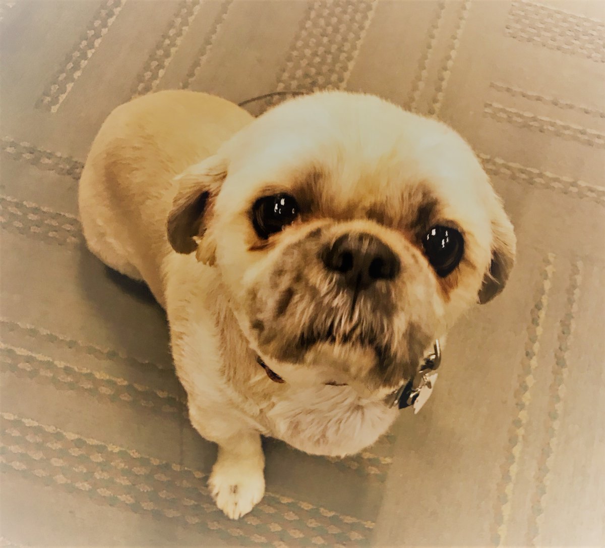 DoubleTree by Hilton Regina tweet media