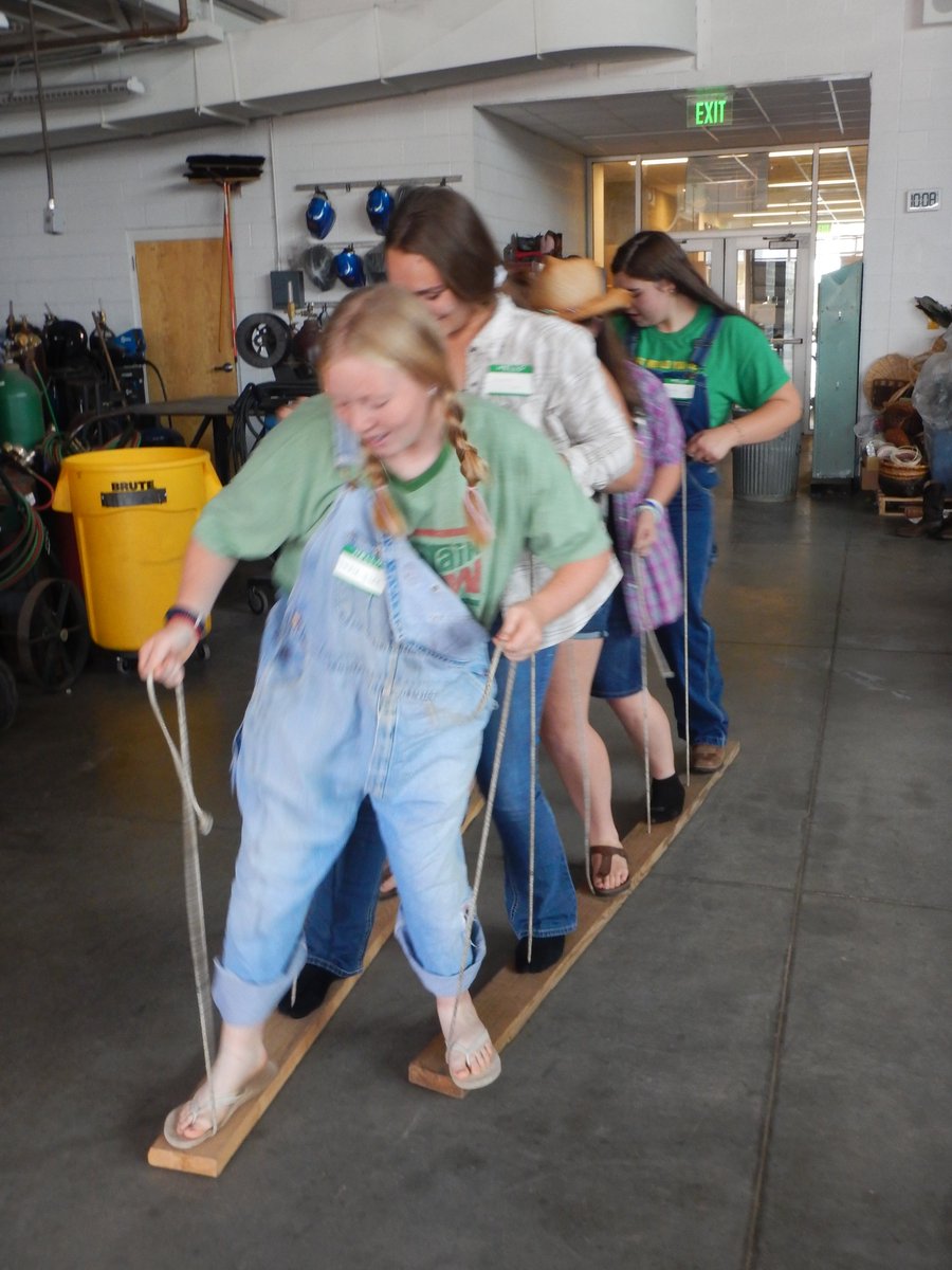 mocor2ffa's tweet photo. We are so excited for this years officer team! They have so many awesome ideas for this year and did some awesome team building. We even solved a Hillbilly Murder mystery. We also got to virtually participate in the awesome iLEAD Conference through Missouri FFA.  #MOFFALEAD2020 https://t.co/Vs7Yu2c0a4