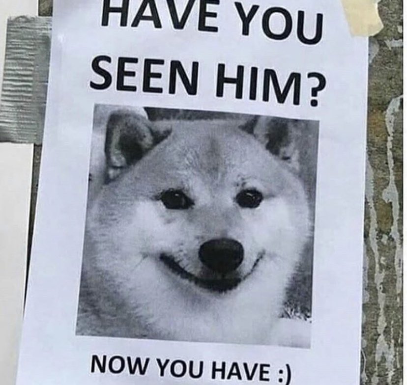 WholesomeMeme's tweet photo. https://t.co/y2NwfnlhU6