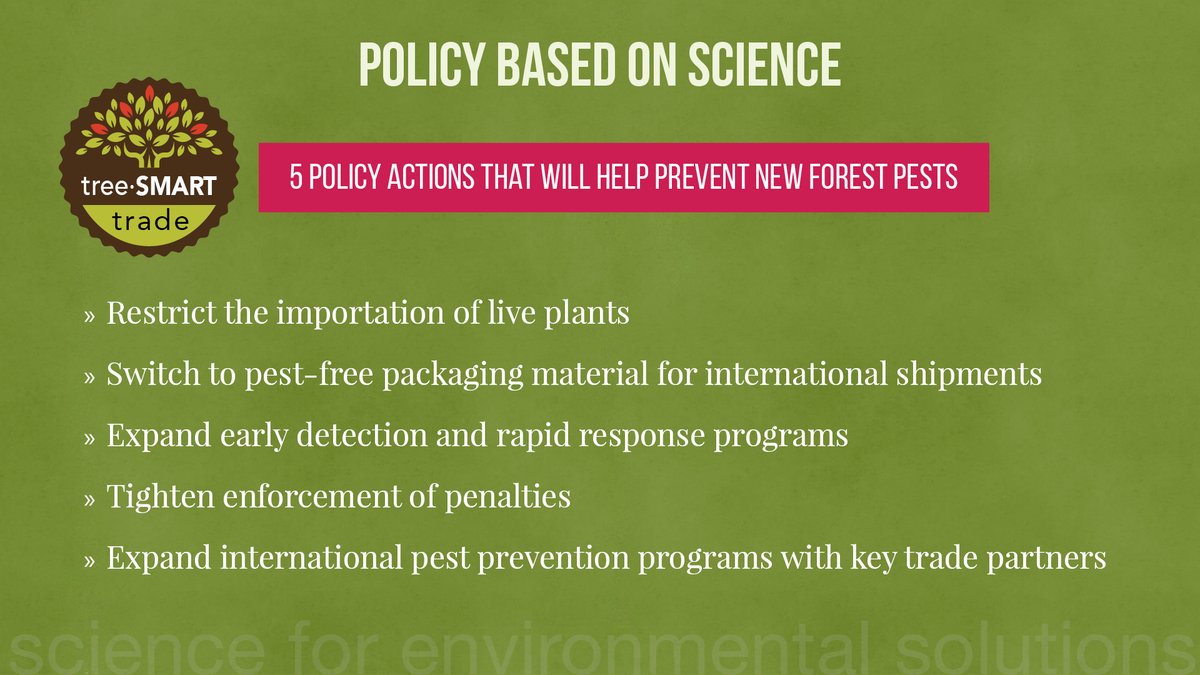 caryinstitute's tweet photo. #TreeSMARTtrade policies can help us protect native trees from invasive forest pests and save forests, parks, and street trees across the US. https://t.co/jUu0LWUOWm