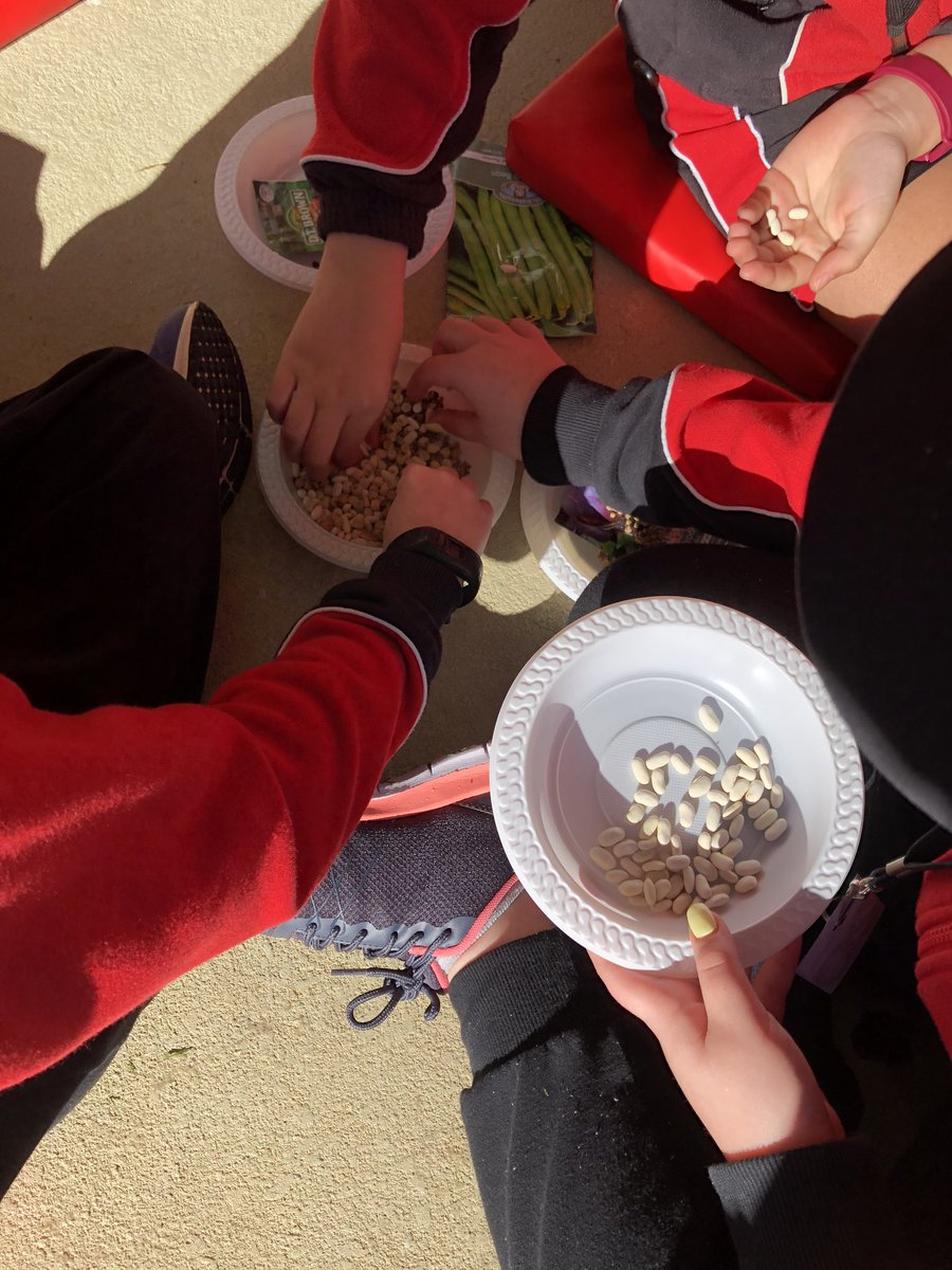 Mal1oryButcher's tweet photo. Project Based Learning entry event has begun. @Sthelenspark_ps https://t.co/AG8MXUIVW4