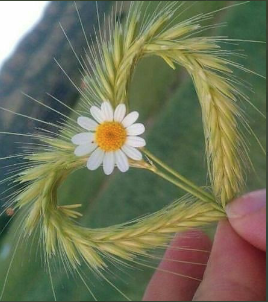 InfinityCoachi4's tweet image. We #believe that #Humanity is #wakingup to their #potentiality &amp;amp; having the RESET #Methodology is one way that YOU can help them to #discover theirs, by expanding on yours. As a RESET #coach you will be trained in the #exclusive #evidencebased #coaching. 
infinitycoaching.co