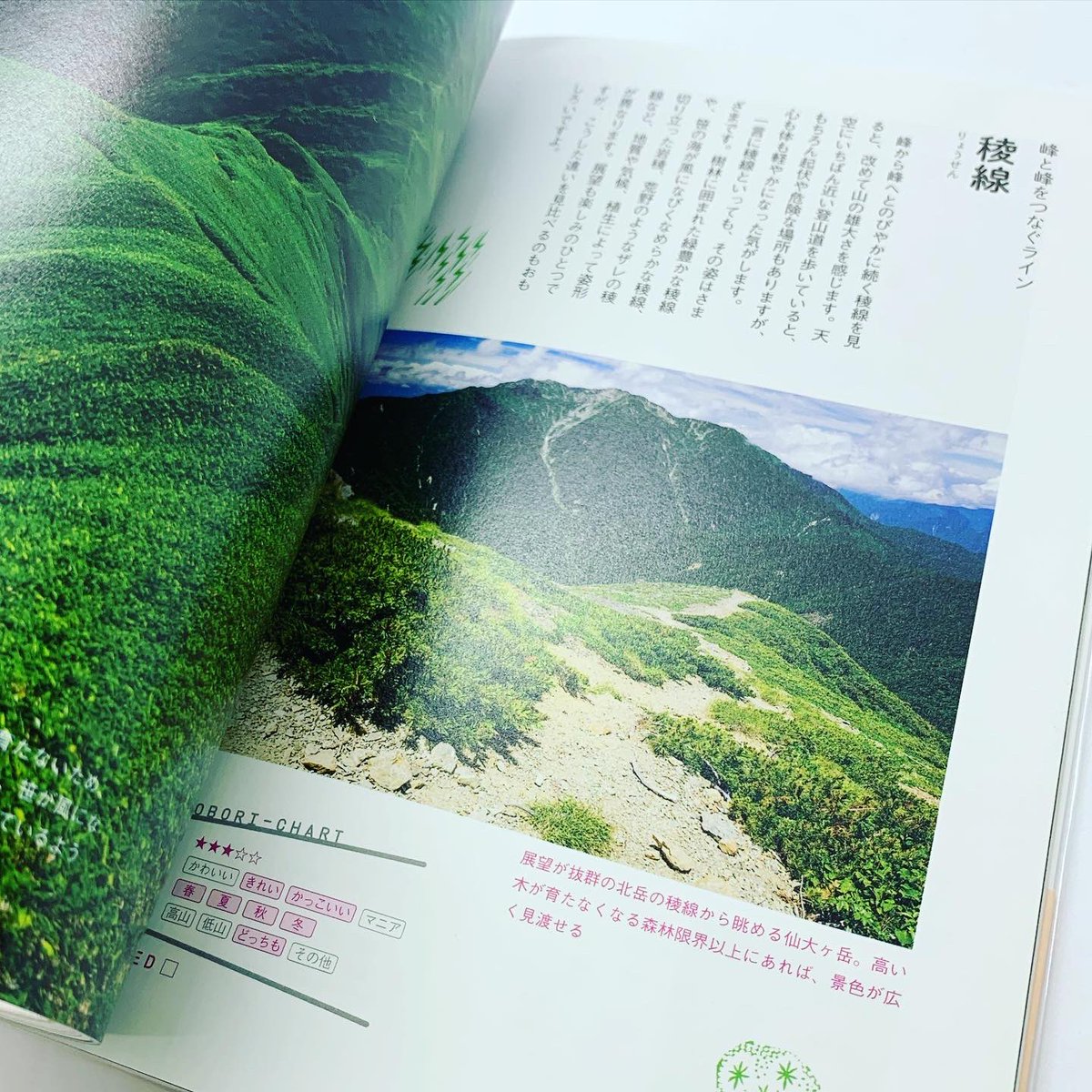 451books 7月24日スポーツの日のリアル店舗 営業です 自粛期間ににわかに 笑 山歩きをはじめたビギナーさんのための山の本 ときめくヤマノボリ図鑑 山のすてき 山の快適歩行術 股関節を柔軟に 岡山県の山 分県別登山ガイド いつか蒜山縦走してみたい