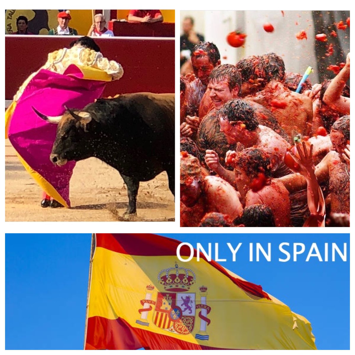 strollaris's tweet photo. 10 Unique and interesting facts about Spain
https://t.co/f9NSZKSdid 

#Spain #españa #facts #toreros #Language #culture #Travel #travelfacts #latomatina #Pamplona #runningofthebulls #Bulls #beaches https://t.co/9vKjTXZYwf