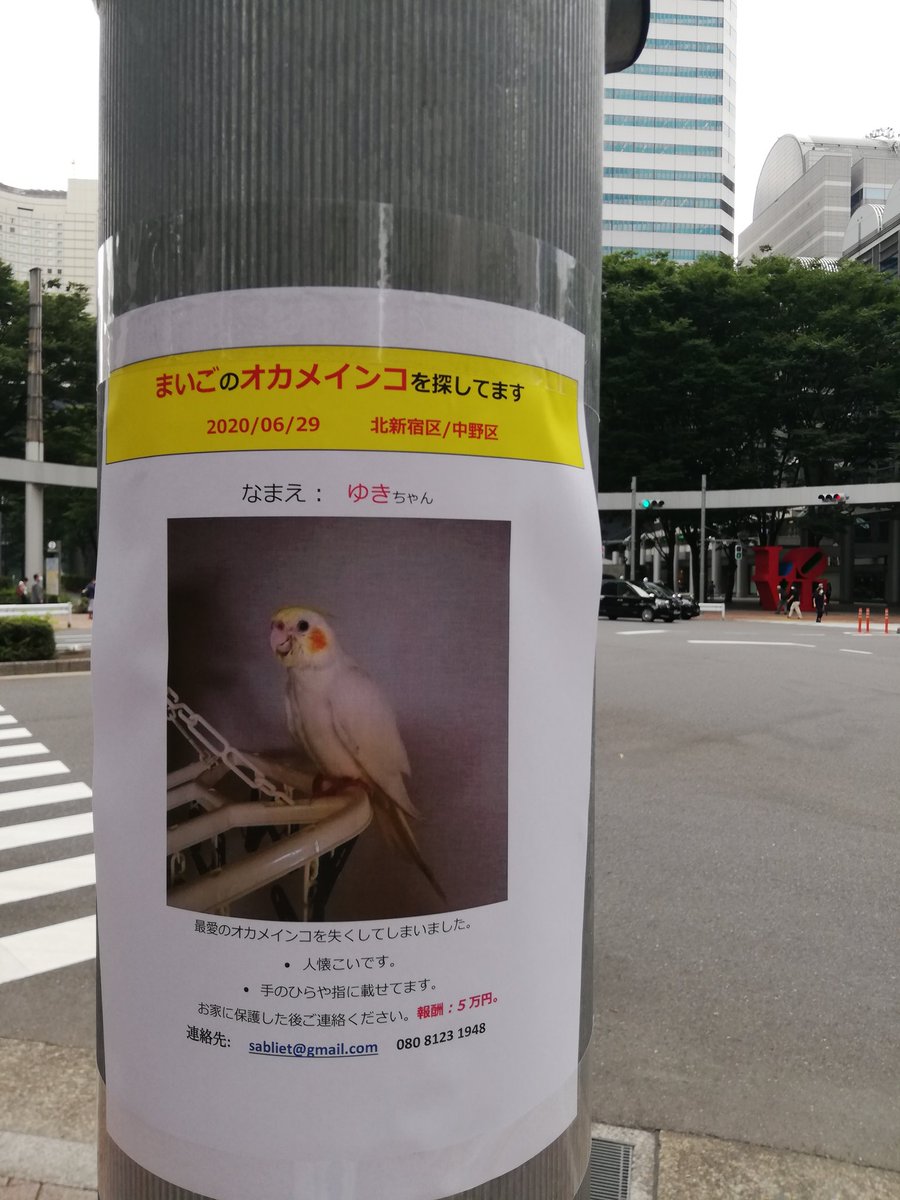 中野駅で迷子のオカメインコを探し続けた飼い主さん 1年ぶりに ゆきちゃん と再会できたことを報告 奇跡のよう Togetter